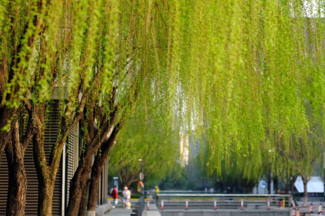 河南省气象台启动重大气象灾害（暴雨）Ⅲ级应急响应